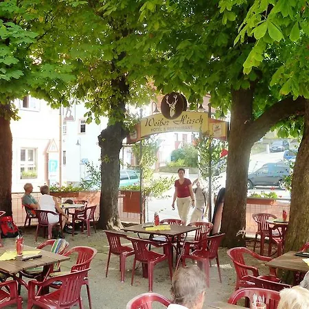 Mb Weisser Hirsch הונשטיין