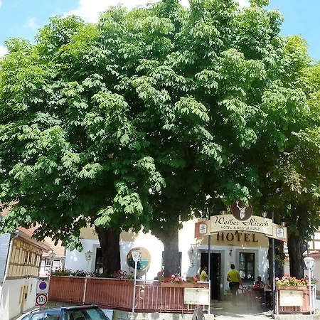Mb Weisser Hirsch Hohnstein